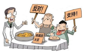 那一场争论作文6篇