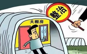 节环境整治工作总结优质7篇