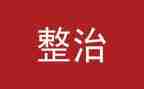 节环境整治工作总结最新7篇