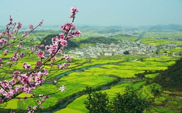 2023乡村振兴工作总结报告7篇