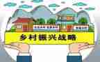 乡村振兴专干述职报告6篇