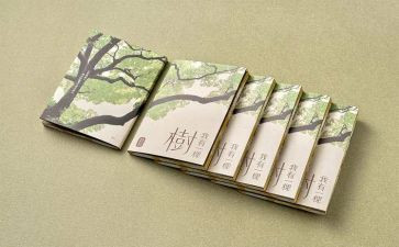 哲学的心得体会6篇