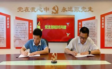 支部年度工作总结6篇