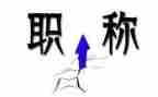 教师高级职称专业技术工作总结5篇