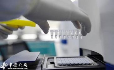 2024年质量月工作总结8篇