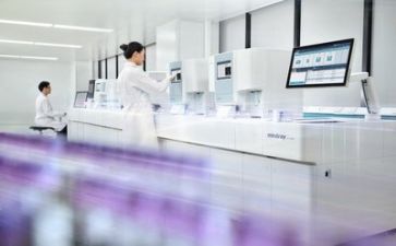 质量月的总结报告参考5篇
