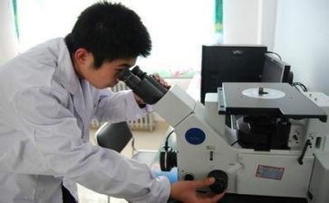 2024年质量月工作总结优秀8篇