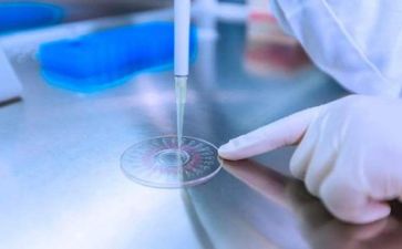 质量工作年度总结报告7篇
