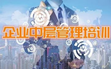 中层领导的工作总结5篇