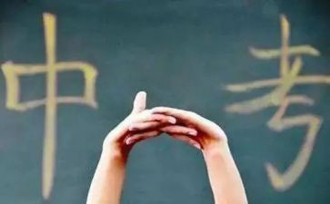 中考分析作文8篇