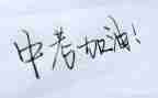 中考的我作文最新5篇