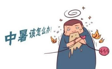 初中暑假实践体会心得体会5篇
