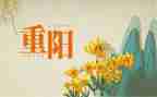 重阳节敬老月活动方案精选5篇