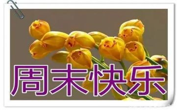 周末读后感6篇