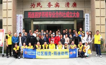 专合社调研报告范文最新7篇