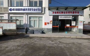 专合社调研报告模板精选6篇