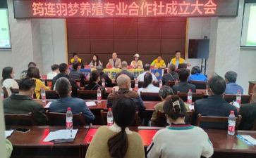 专合社调研报告模板5篇