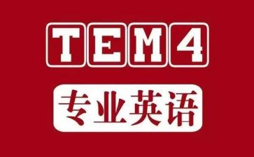 专四总结报告精选8篇