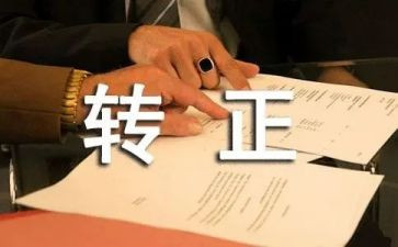 转正组总结报告推荐8篇
