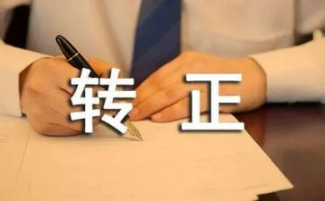 转正组总结报告通用7篇