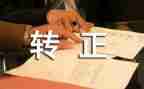 转正组总结报告推荐8篇