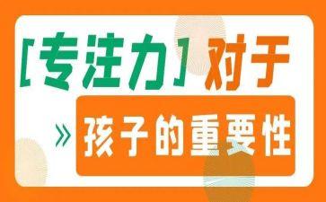 关于专注力的作文5篇