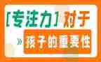 关于专注力的作文5篇