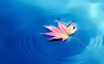 人与自然的优秀作文6篇
