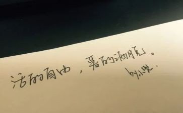 我的自由节作文6篇