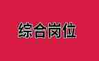 综合岗的工作计划最新6篇