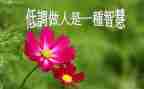 做人要正的作文模板7篇